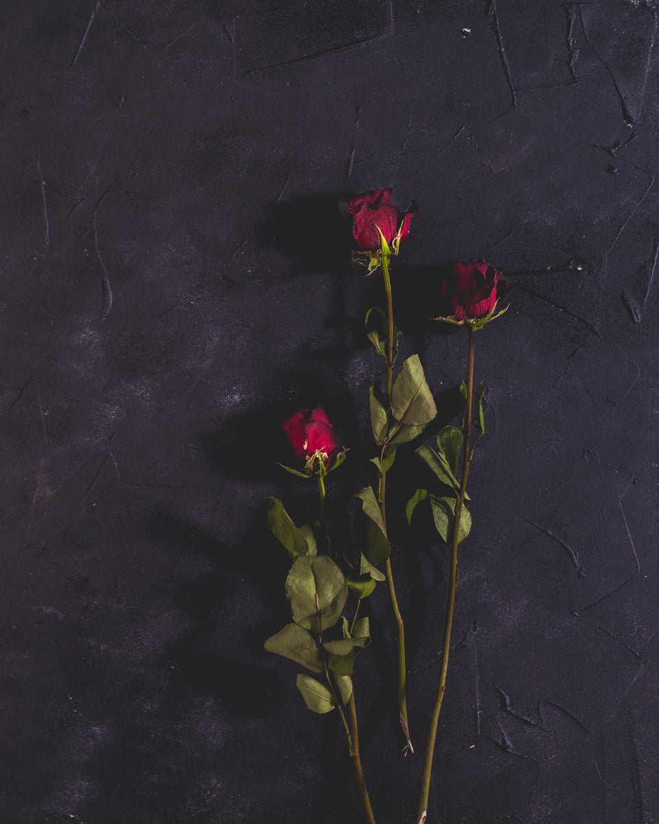 Produktfotografie am Beispiel von Rosen auf unserem moody Backdrop Dahell